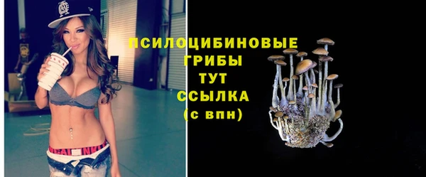 молекула духа Верея
