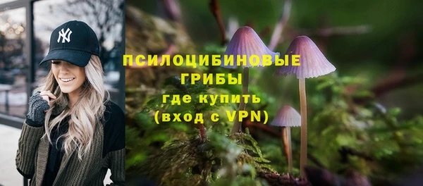 прущая мука Верхний Тагил