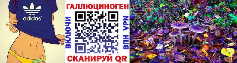 где найти наркотики  Ишим  Псилоцибиновые грибы прущие грибы 